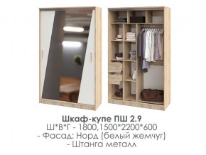 шкаф-купе ПШ-2.9 1500 Норд Белый жемчуг 1500 в Богдановиче - bogdanovich.magazin-mebel74.ru | фото