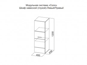 Шкаф навесной (глухой) Левый в Богдановиче - bogdanovich.magazin-mebel74.ru | фото