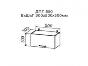 Шкаф верхний ДПГ500 горизонтальный в Богдановиче - bogdanovich.magazin-mebel74.ru | фото